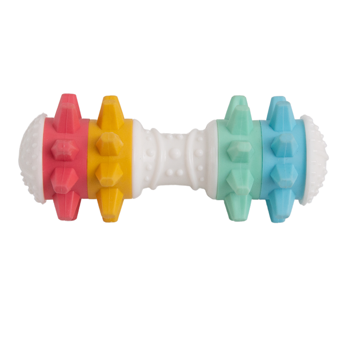 SnugArooz Shake It Off Nylon Noisy Bone Dog Toy