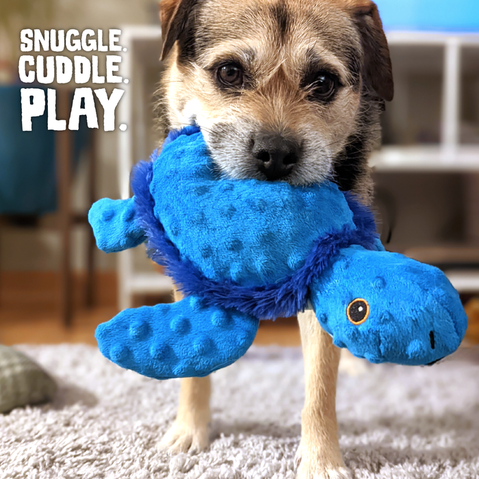 SnugArooz Tucker the Turtle Plush Dog Toy