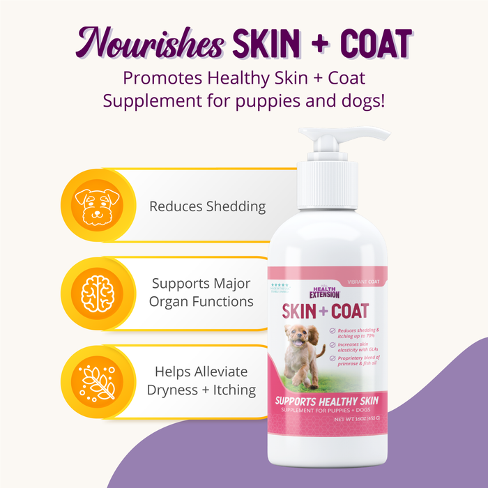 Health Extension Healthy Skin Vibrant Coat Supplement