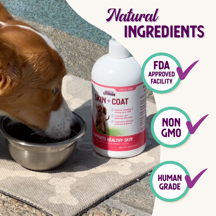 Health Extension Healthy Skin Vibrant Coat Supplement