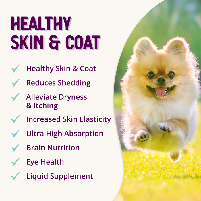 Health Extension Healthy Skin Vibrant Coat Supplement