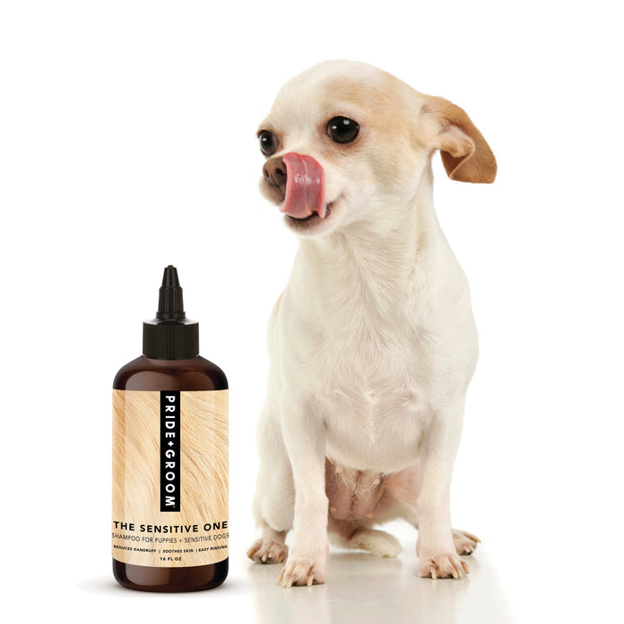 PRIDE+GROOM The Sensitive One Hypoallergenic Dog & Puppy Shampoo — With Hemp Oil, Aloe & Oatmeal for Sensitive Skin