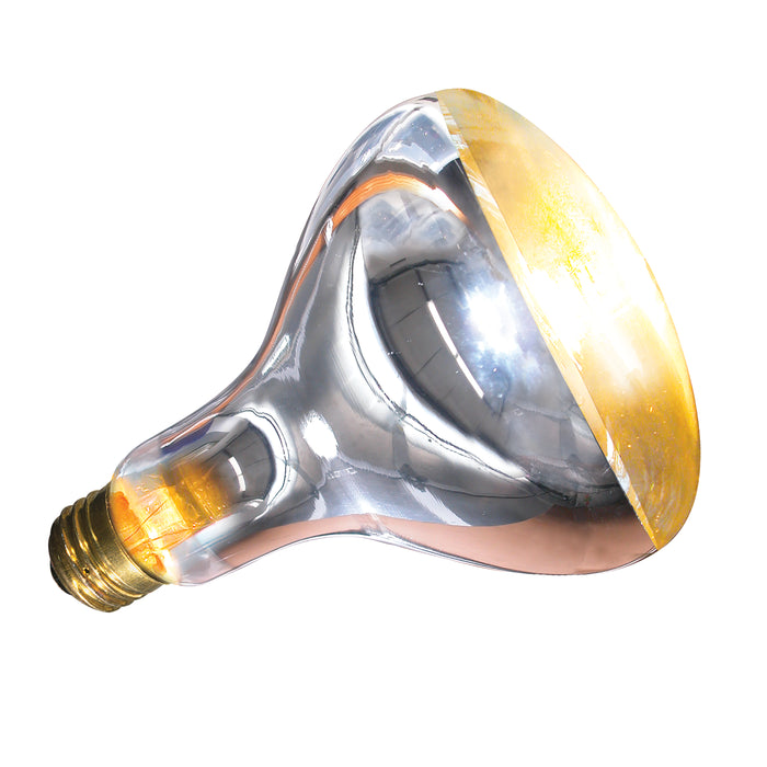 Zoo Med Repti Basking Spot Lamp 250 Watt