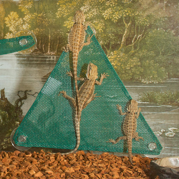 Zoo Med Lizard Ladder Yellow One Size