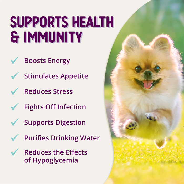 Health Extension Appetite + Energy Stress Relief Supplement