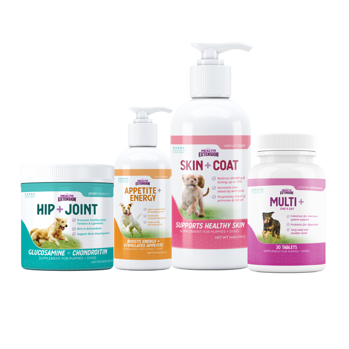 Health Extension Vitamin Kit - 4 Pack