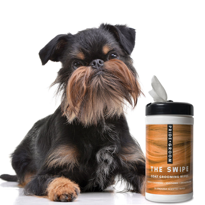 PRIDE+GROOM The Swipe Wet Pet Wipes — Alcohol-Free, Hypoallergenic Cleansing Wipes for Dogs & Cats