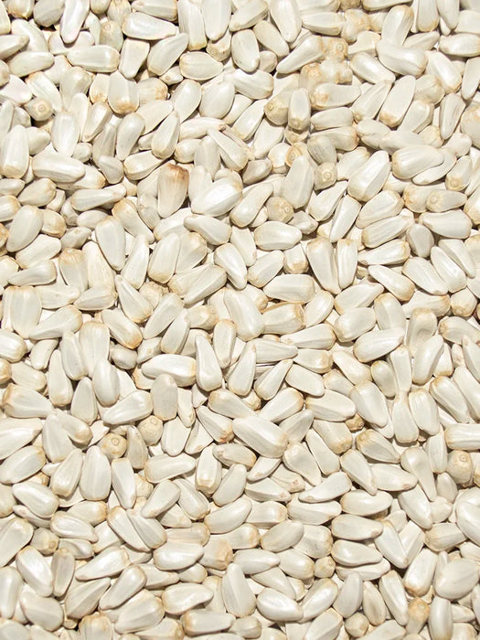 Volkman Seed Company Premium Single Seed Safflower Bird Food 4 lb