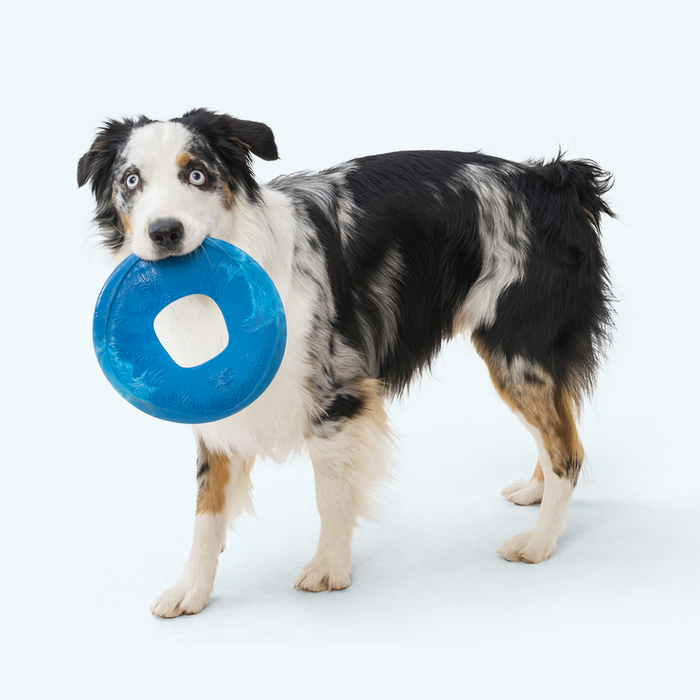 West Paw Sailz Dog Toy