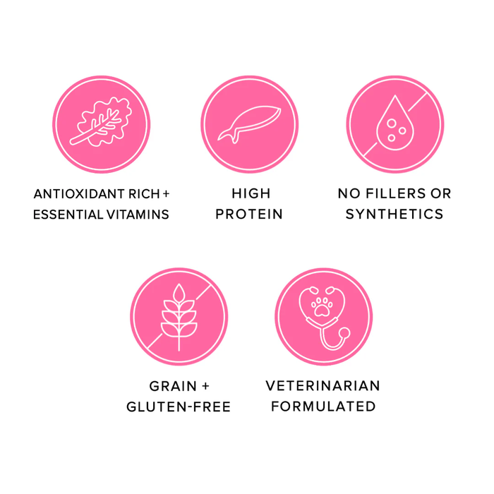 Ava's Pet Palace Freeze Dried Dog Treats - Salmon Puffs (3 oz)