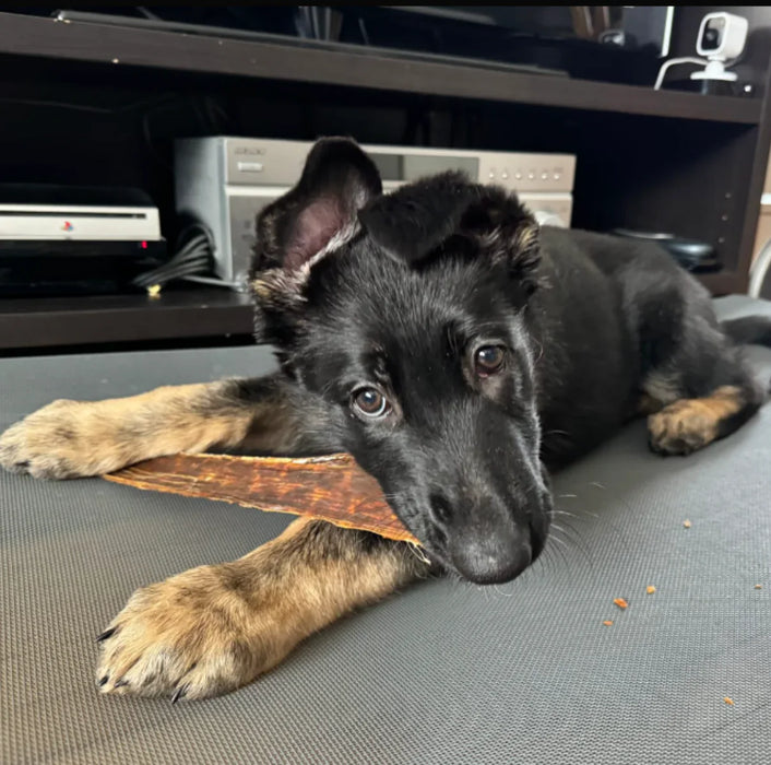 Bully Bunches 12 Inch Beef Jerky Strip