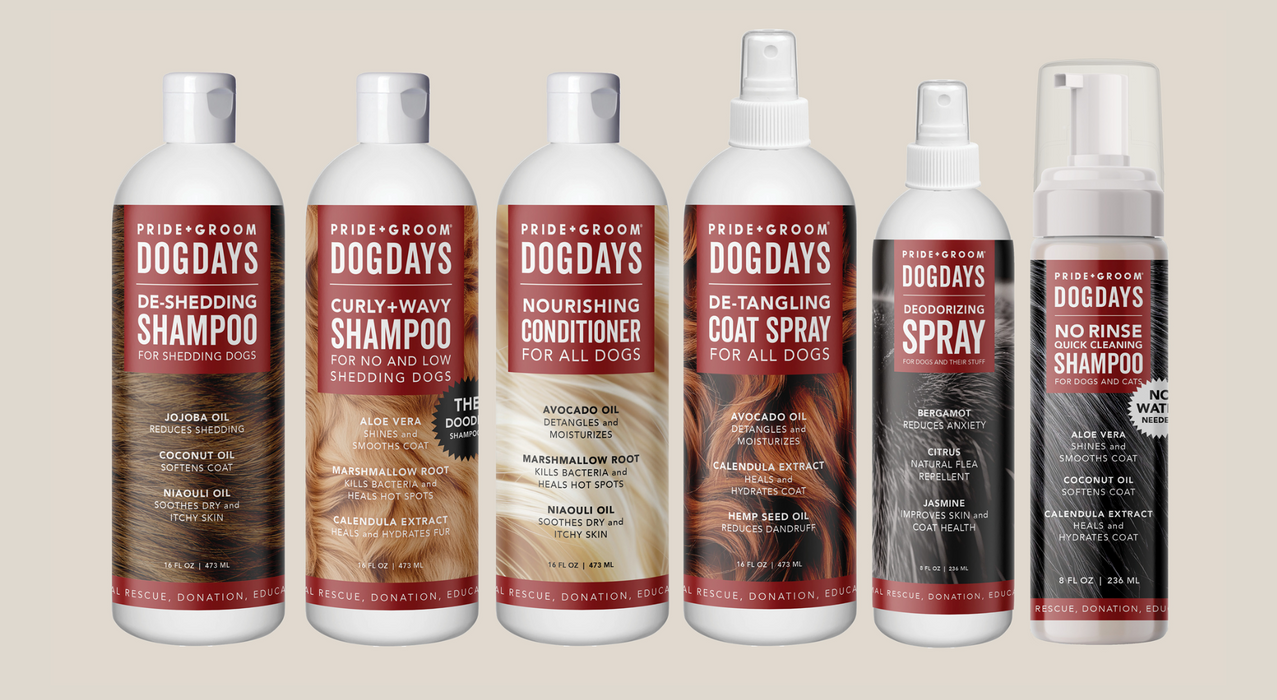 PRIDE+GROOM DOGDAYS Leave-In Detangling Spray — Hydrating, Frizz-Control Formula for All Coat Types - 2 - Image 4