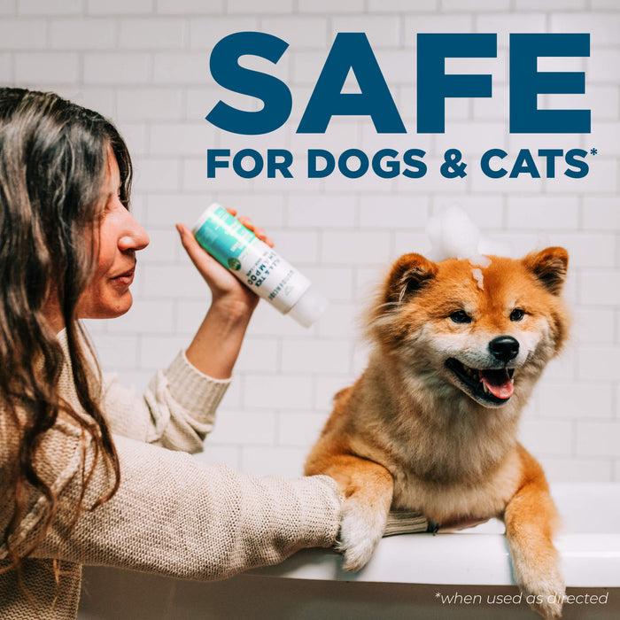 Wondercide Flea & Tick Shampoo for Dogs & Cats