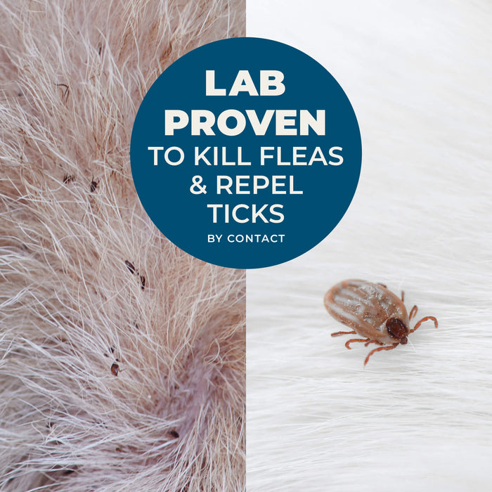 Wondercide Flea & Tick Shampoo for Dogs & Cats