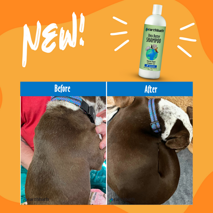 Earthbath Hypoallergenic Shea Butter Pet Shampoo 16oz