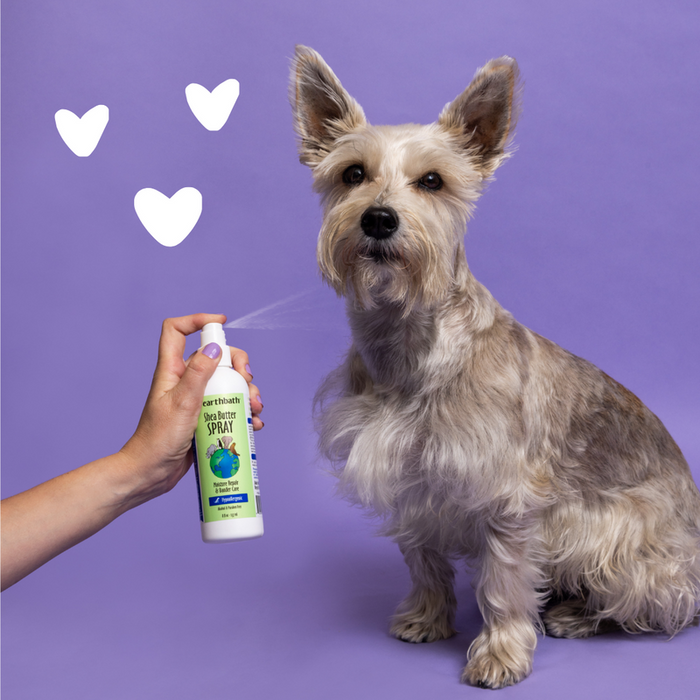 Earthbath Hypoallergenic Shea Butter Pet Pump Spray 8oz