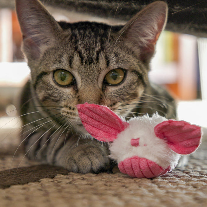 HuggleHounds HuggleKats® Dust Bunnies Cat Toys (Pack of 3)