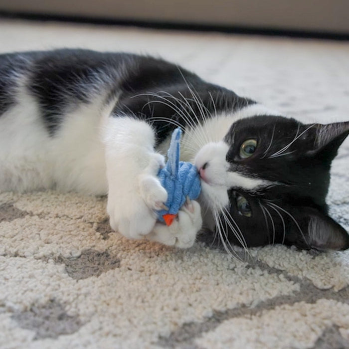 HuggleHounds HuggleKats® Chickies Cat Toys (Pack of 3)