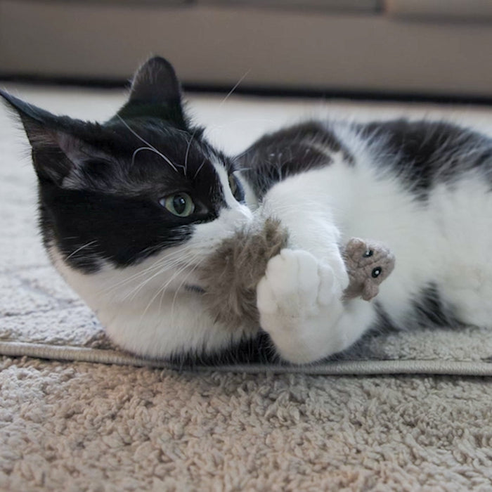 HuggleHounds HuggleKats® Wee Fellar Squirrelie Cat Toy