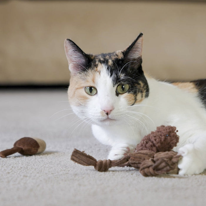 HuggleHounds HuggleKats® Wee Chippie and His Acorn Cat Toy Set