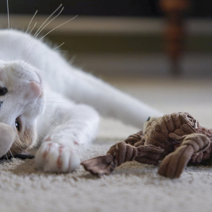 HuggleHounds HuggleKats® Wee Chippie and His Acorn Cat Toy Set