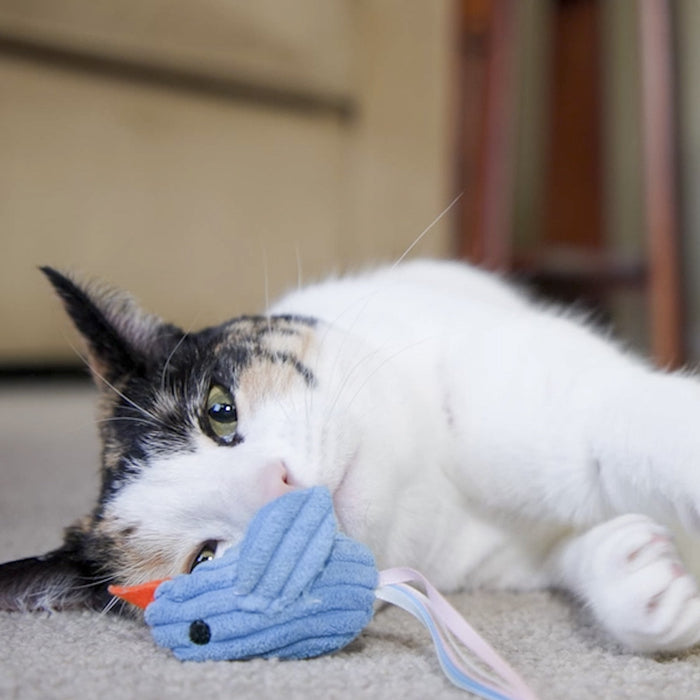 HuggleHounds HuggleKats® Chickies Cat Toys (Pack of 3)
