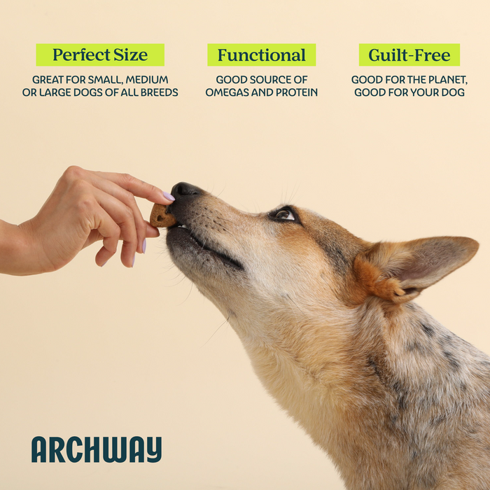 Archway Skin & Coat Health Dog Treats 5 oz