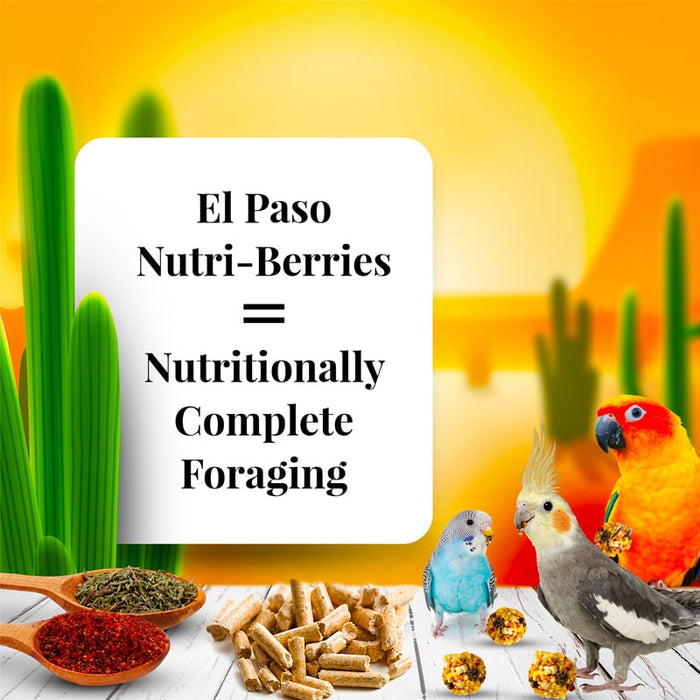 Lafeber Company El Paso Nutri-Berries Small Bird Food 10oz