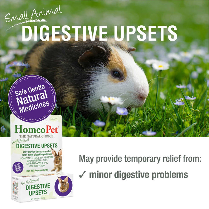 HomeoPet Digestive Upsets 15 ml