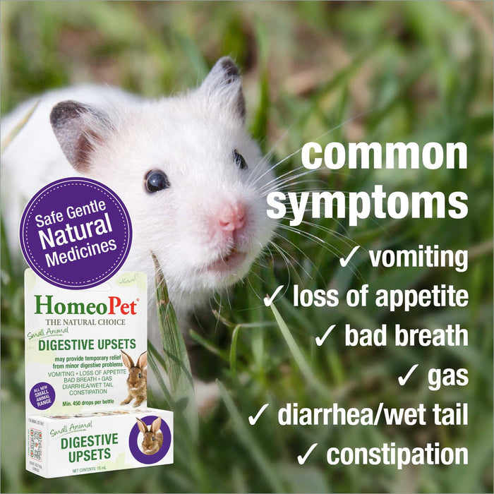 HomeoPet Digestive Upsets 15 ml