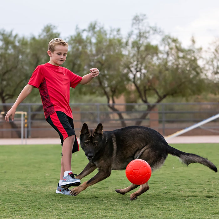 Jolly Soccer Ball by Jolly Pets