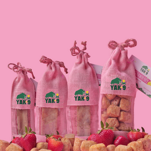 Yak9 Chews Strawberry Cheese Chews for Dogs - Image 27