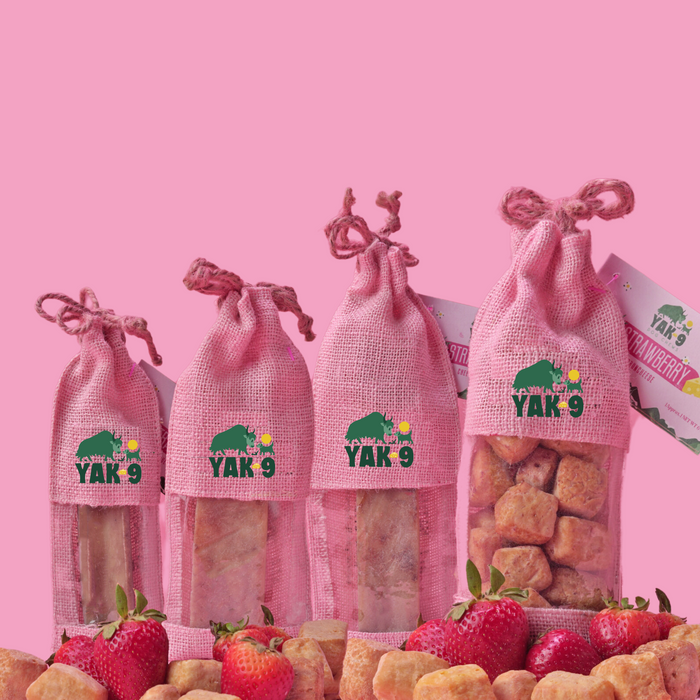 Yak9 Chews Strawberry Cheese Chews for Dogs - Image 27