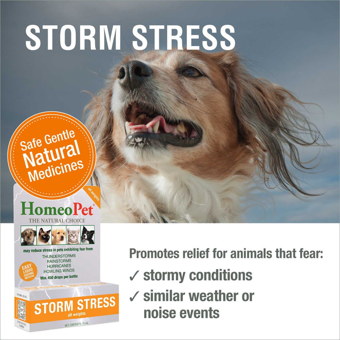 HomeoPet Storm Stress 15 ml