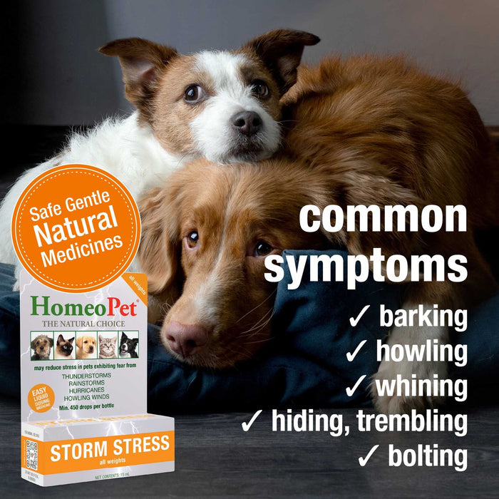 HomeoPet Storm Stress 15 ml