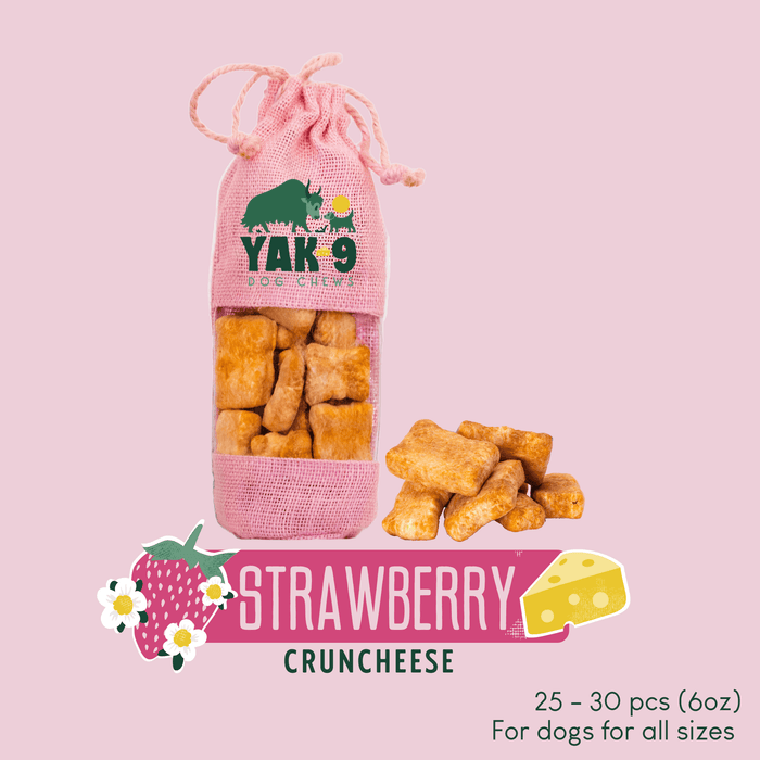 Yak9 Chews CrunCheese Yak Cheese Treats for Dogs - 6 oz - 7 - Image 12