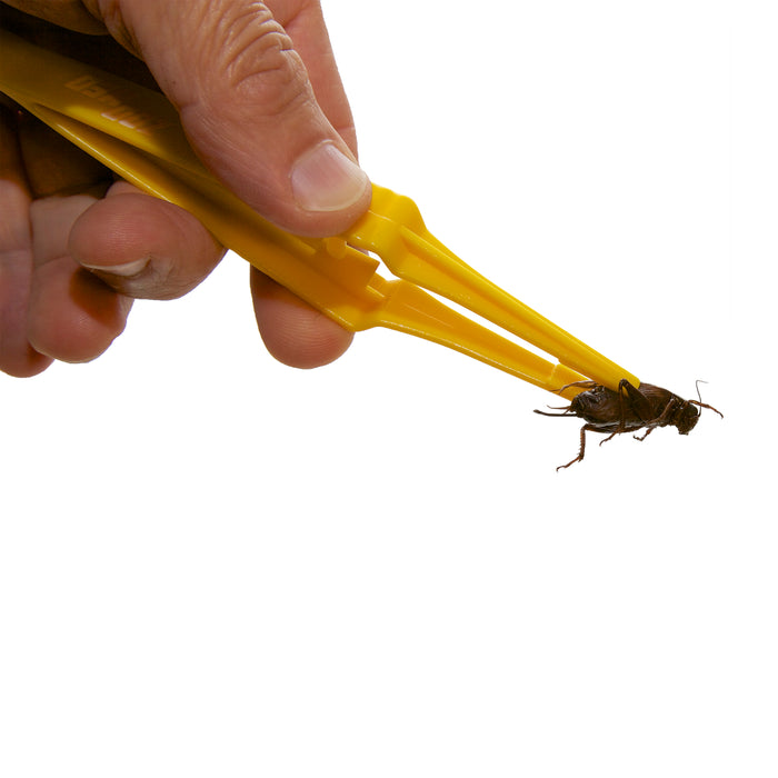 Zoo Med Deluxe High Quality Feeding Tongs Yellow 6 in