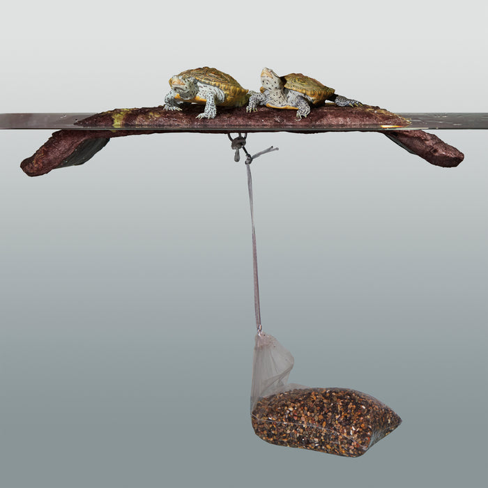 Zoo Med Turtle Dock Basking Platform Brown XL