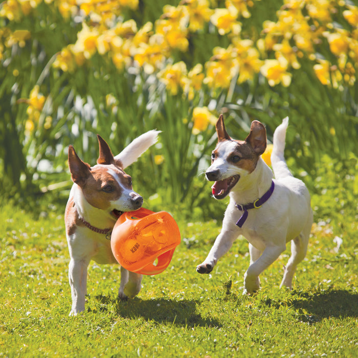 KONG Jumbler Dog Toy Ball Assorted LG/XL - 5 - Image 8