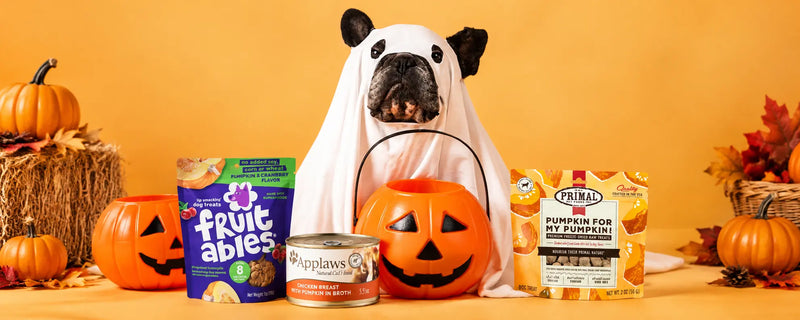 Halloween treats for pets