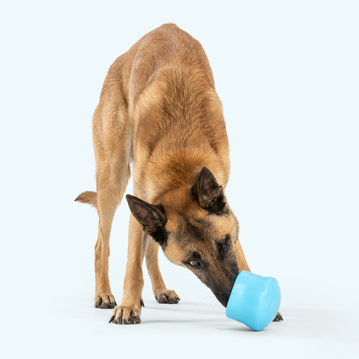 West Paw Toppl Dog Toy