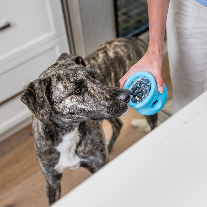 West Paw Toppl Dog Toy