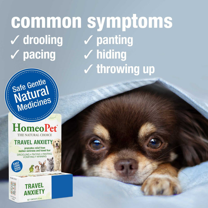 HomeoPet Travel Anxiety 15 ml