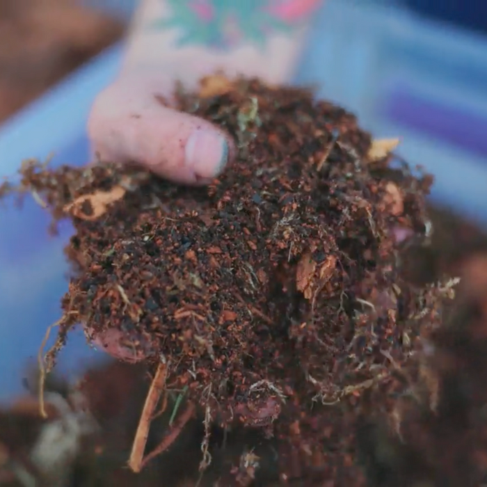 ReptiChip TropicalBase Terrarium Ready to Use Bioactive Mix