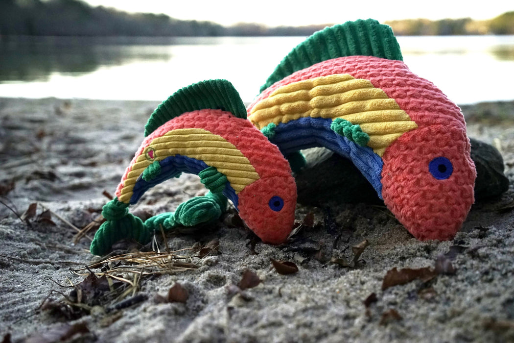 HuggleHounds Rauccous Rainbow Trout Knottie® Plush Dog Toy