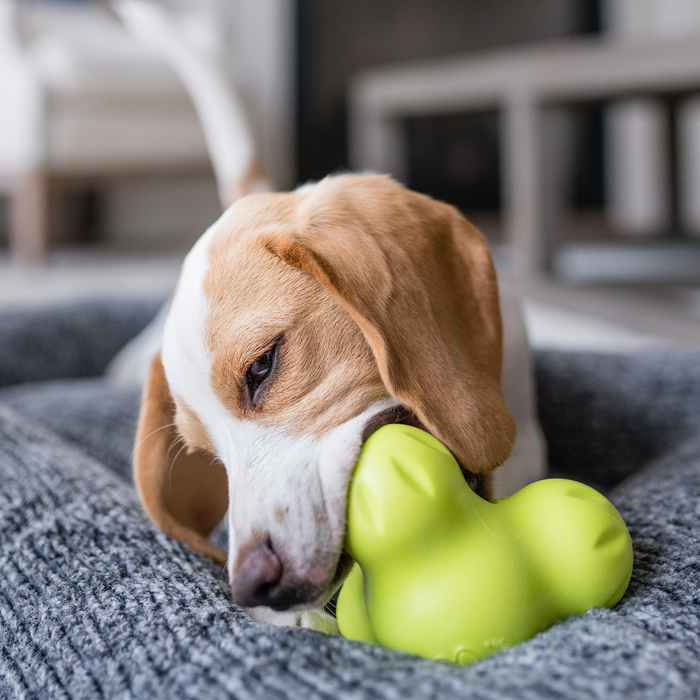 West Paw Tux Dog Toy