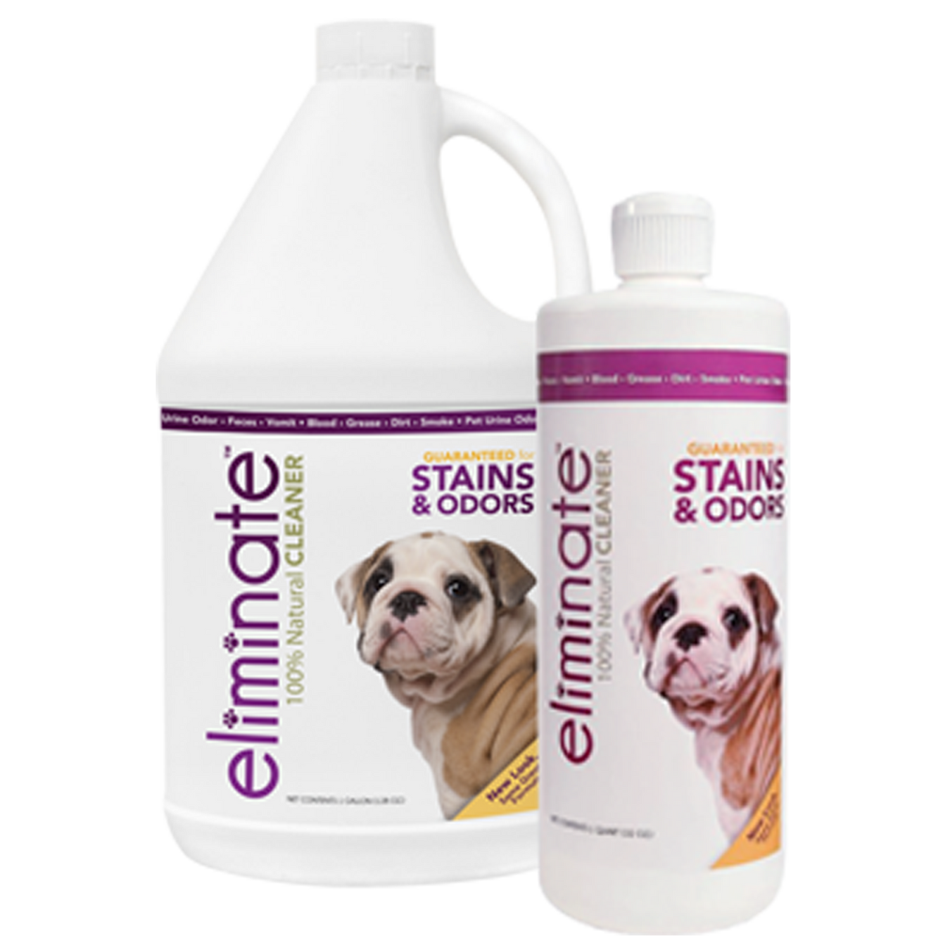 Cleanup & Odor Control