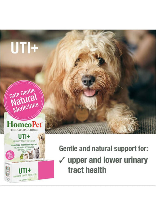 HomeoPet UTI+ for all Animals 15 mL - 2 - Image 7