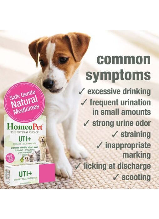 HomeoPet UTI+ for all Animals 15 mL - 3 - Image 7