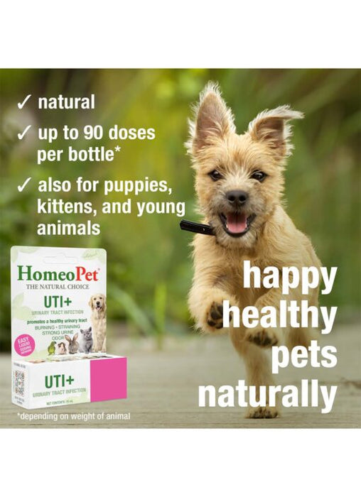 HomeoPet UTI+ for all Animals 15 mL - 4 - Image 7